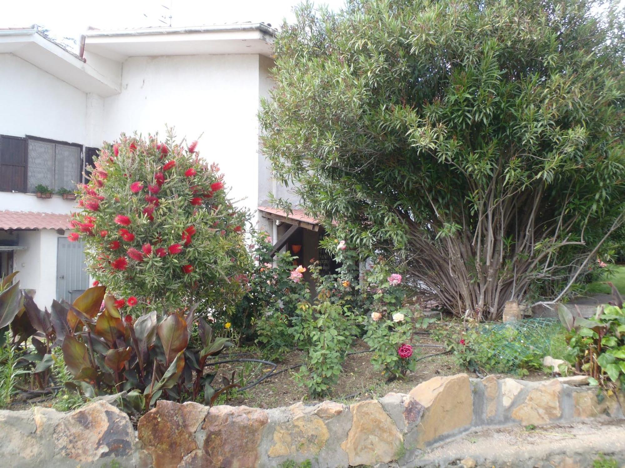B&B Villa Sans Souci Civitavecchia Exterior foto
